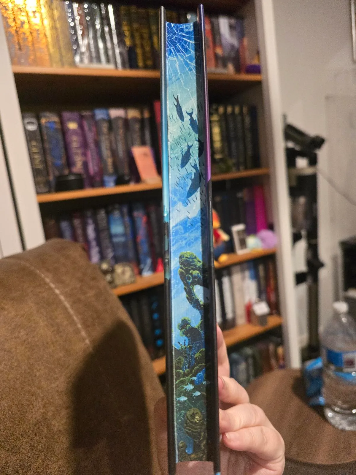 Illumicrate Starbright Scion Special Edition by James Islington – photo 2