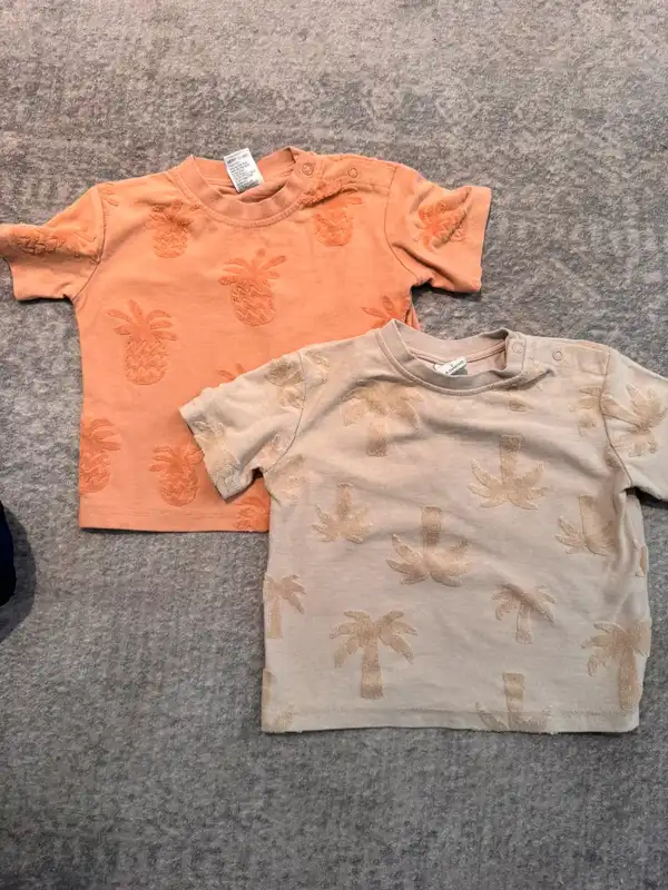Baby Berry boys 2 pack textured pineapple and palm tree t-shirts size 2