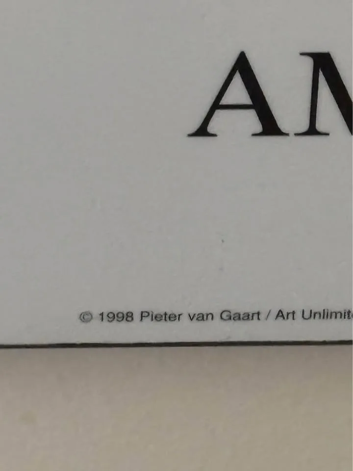 Vintage DUTCH 1998 RARE Amsterdam photographer Pieter van Gaart mounted poster 5 — photo 2