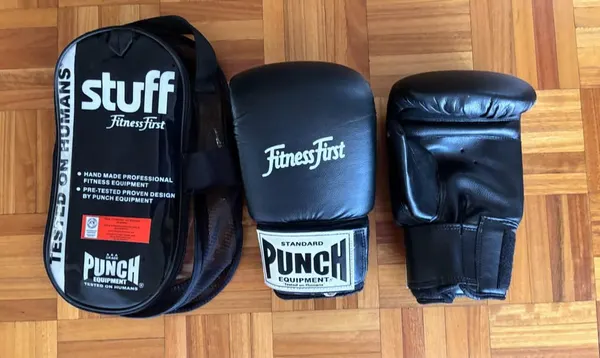 Punch size Large boxing Gloves in VGC