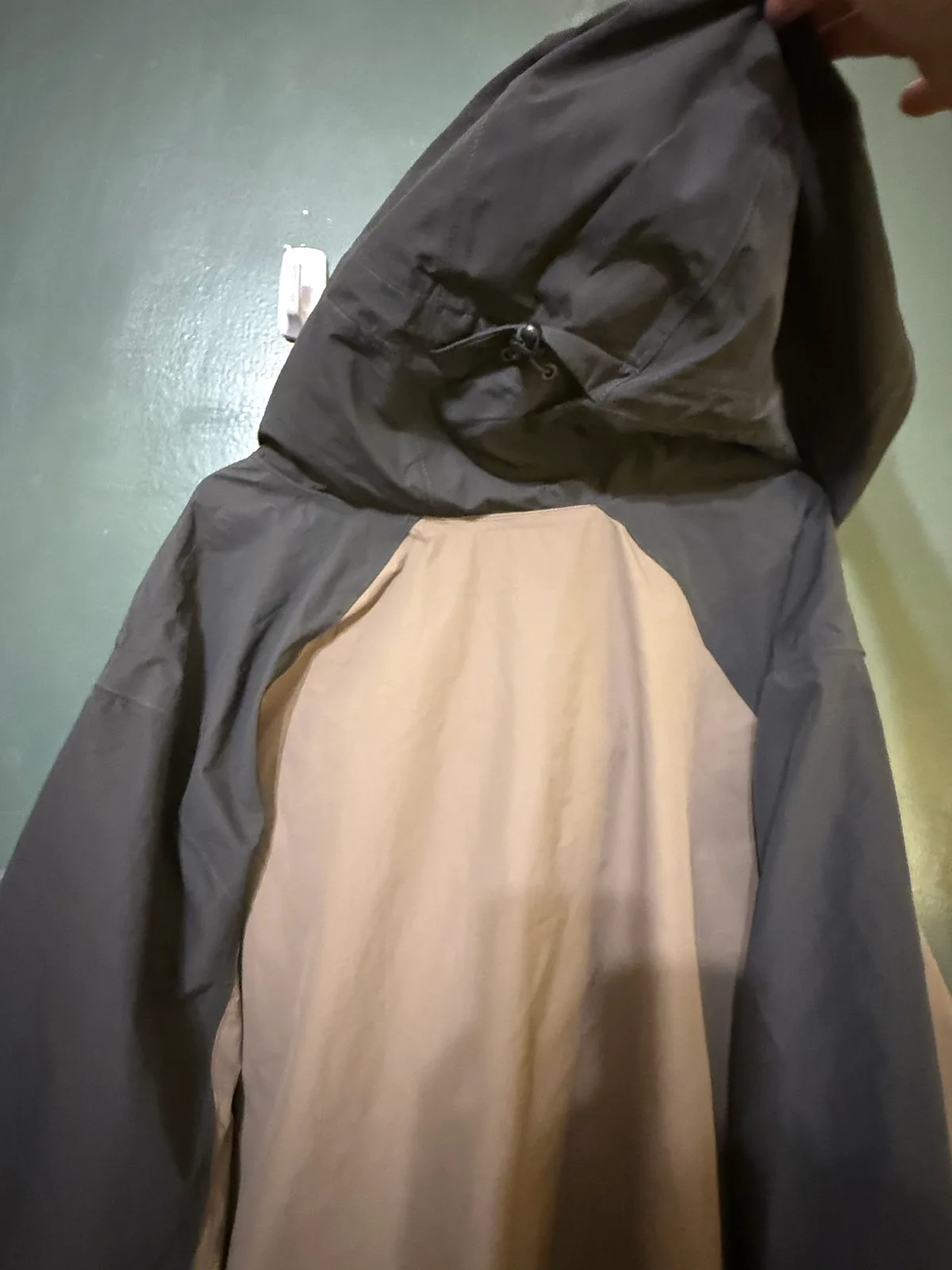 Coat bone dry – photo 5