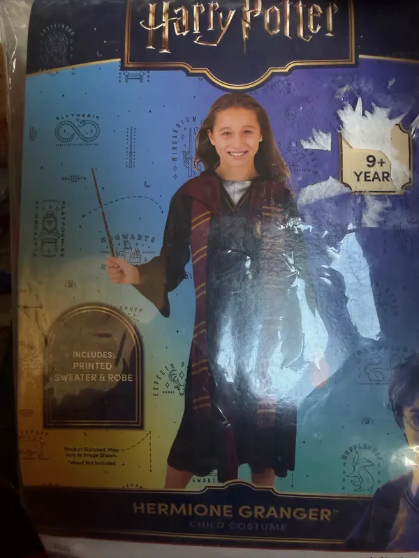 Harry Potter costume
