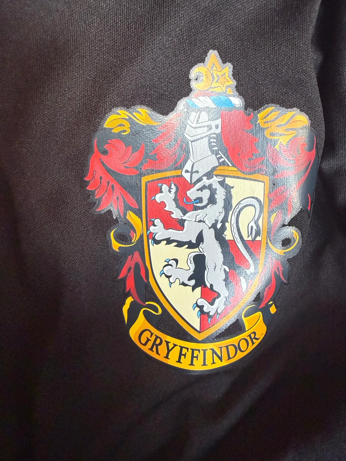 Harry Potter costume — photo 4