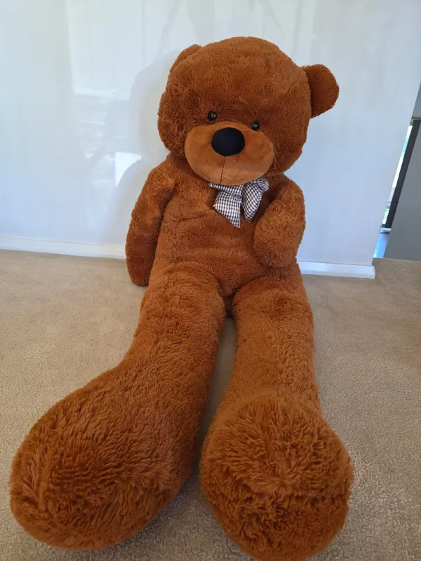 Large Plush Bear