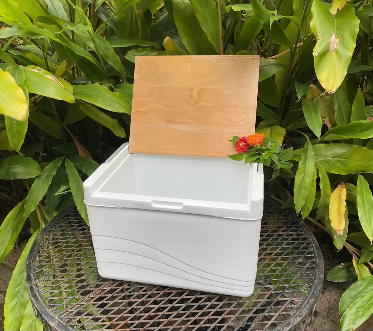 1 X ESKY/11L PICNIC COOLER BOX/WOODEN SERVING LID/CARRY HANDLE/LIKE NEW – photo 9