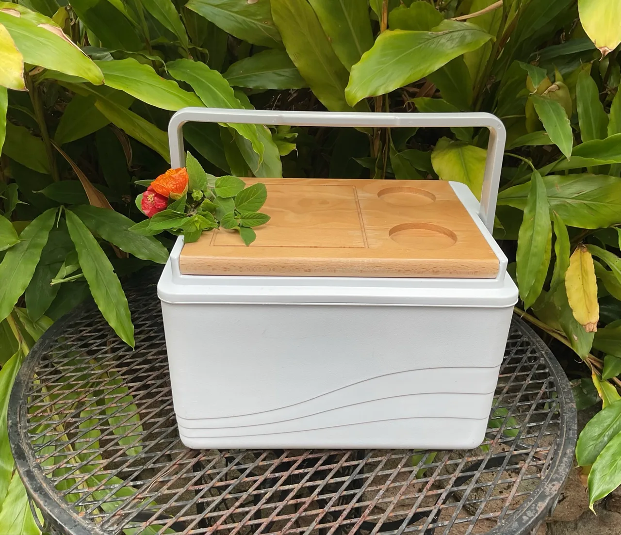 1 X ESKY/11L PICNIC COOLER BOX/WOODEN SERVING LID/CARRY HANDLE/LIKE NEW – photo 8
