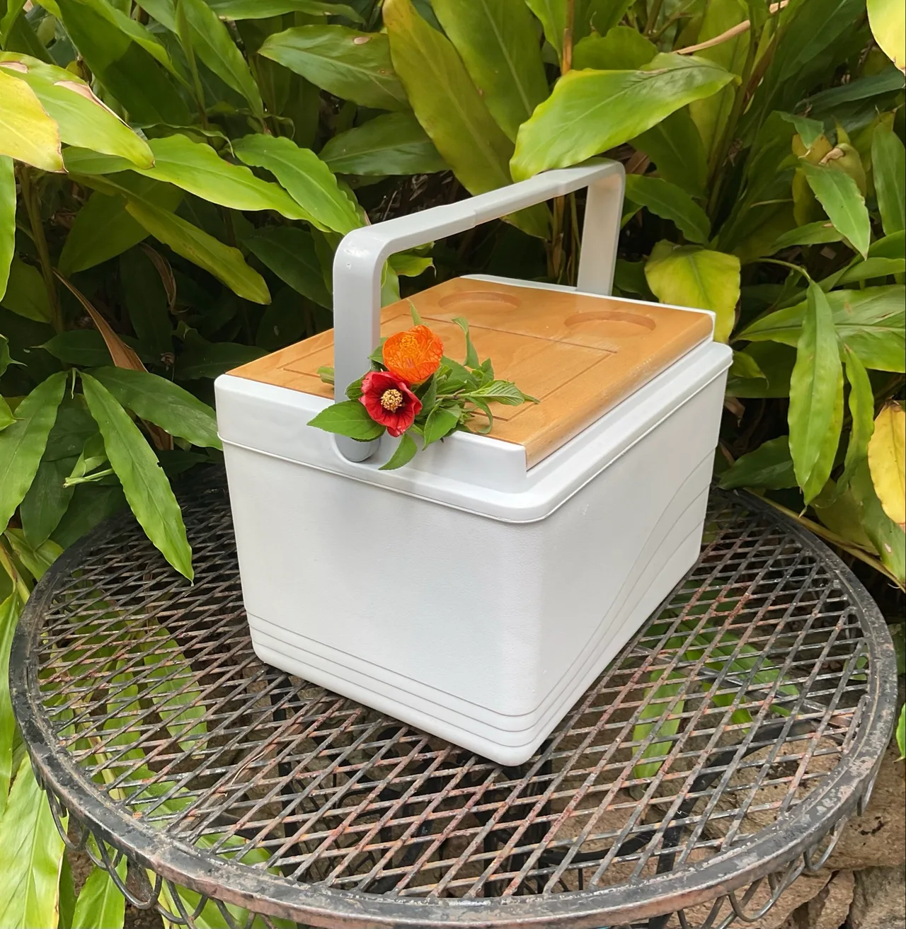 1 X ESKY/11L PICNIC COOLER BOX/WOODEN SERVING LID/CARRY HANDLE/LIKE NEW – photo 6