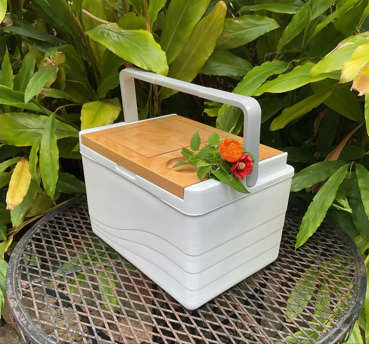 1 X ESKY/11L PICNIC COOLER BOX/WOODEN SERVING LID/CARRY HANDLE/LIKE NEW – photo 5