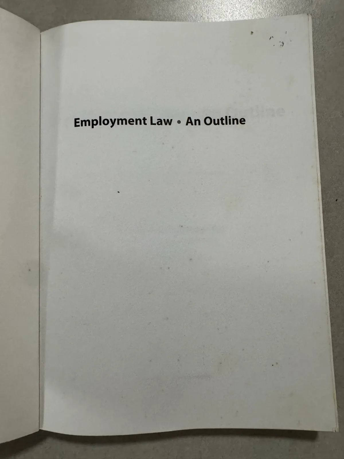 Employment Law: An Outline by Natalie van der Waarden — photo 4