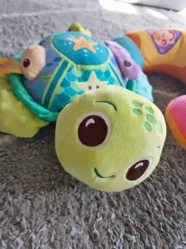 Vtech Sensory Turtle