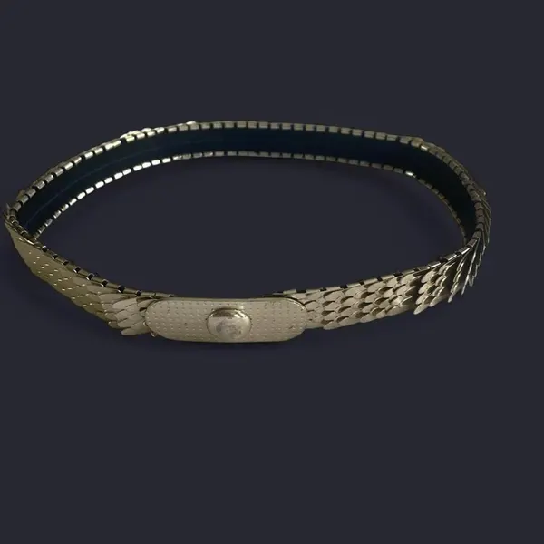 Vintage Gold tone snake chain elastic belt