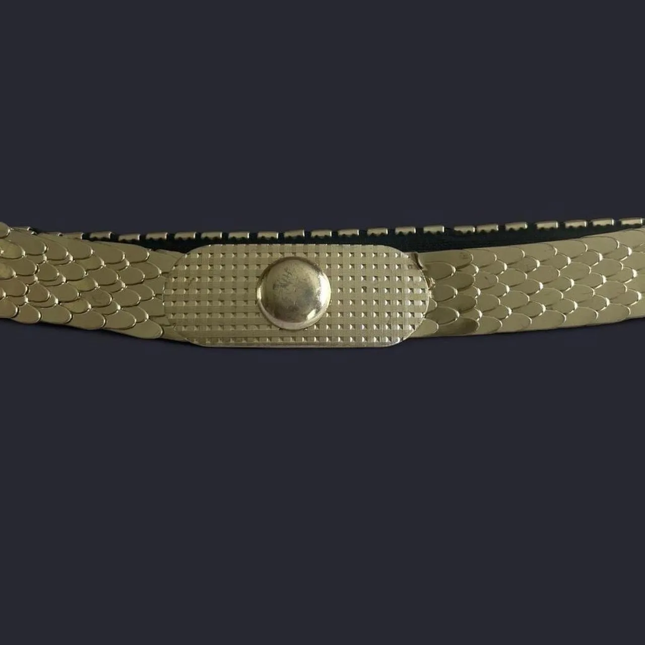 Vintage Gold tone snake chain elastic belt – photo 2
