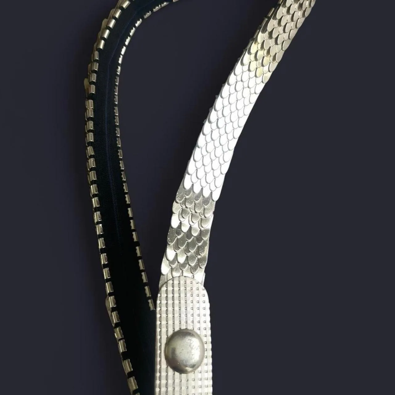 Vintage Gold tone snake chain elastic belt – photo 5