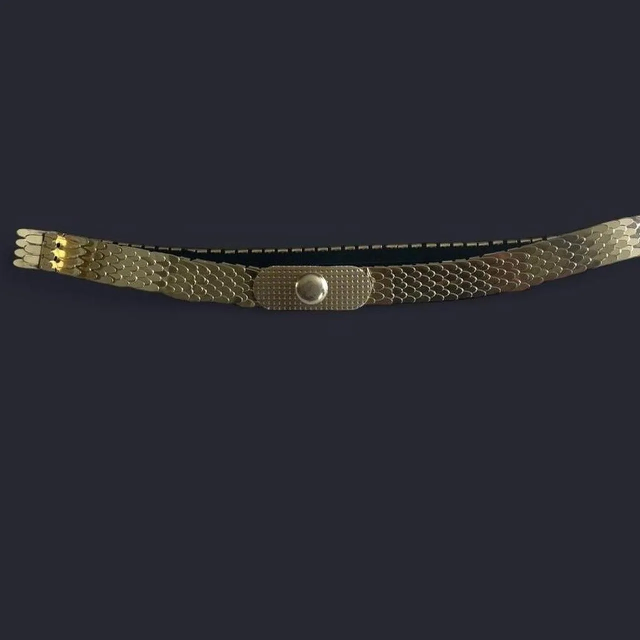 Vintage Gold tone snake chain elastic belt – photo 3