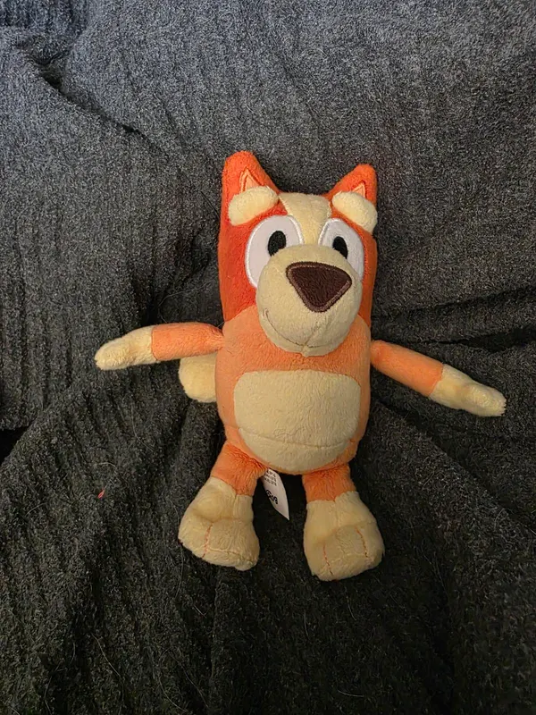 Bingo Toy