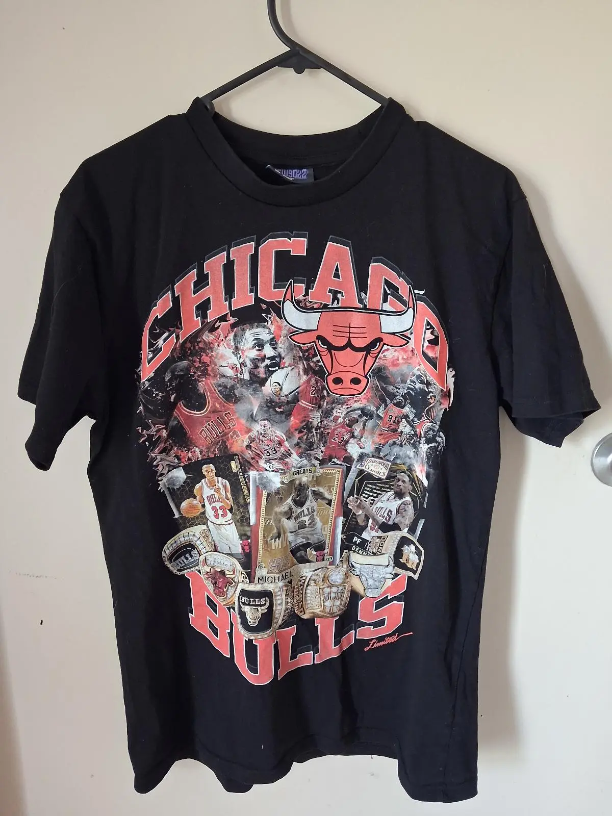 Chicago bulls – photo 2
