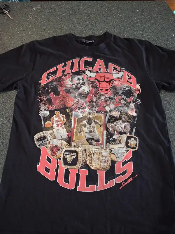 Chicago bulls