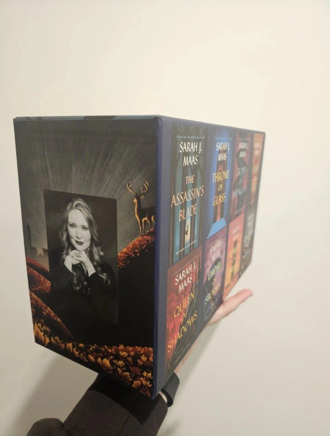 Sarah J. Maas Throne of Glass series 8 book collection — photo 3