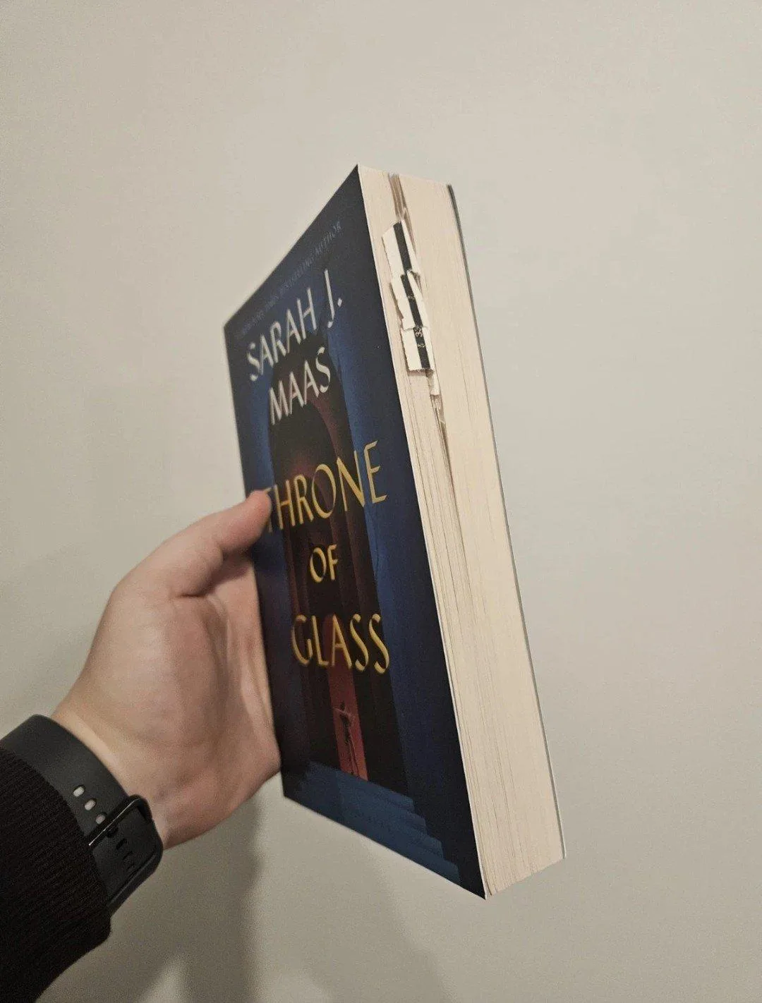 Sarah J. Maas Throne of Glass series 8 book collection — photo 5