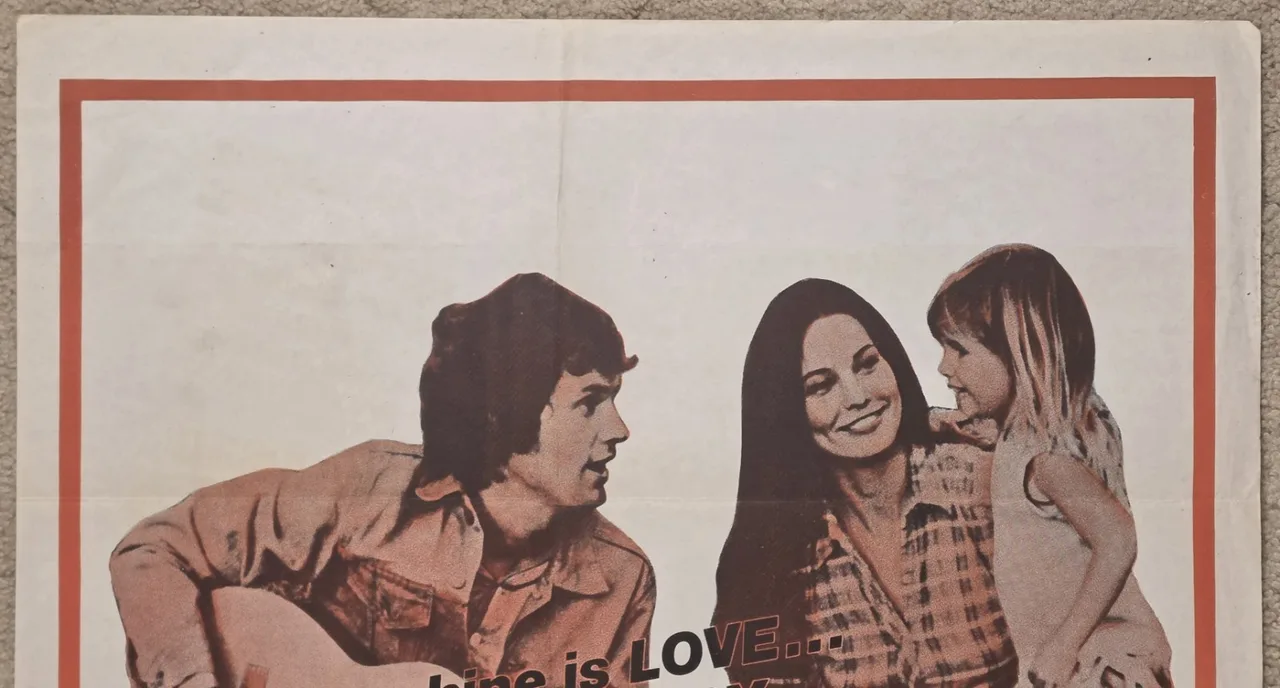 Sunshine 1973 Original Australian One Sheet Movie Poster SS John Denver 27x40 – photo 4