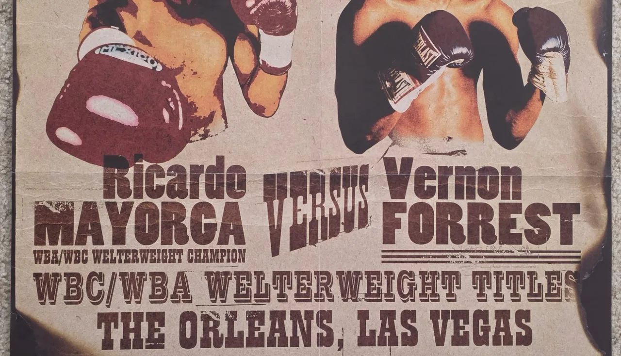 2003 Ricardo Mayorga vs Vernon Forrest II Boxing Sky Promo Poster — photo 5
