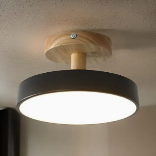 Nordic Aisle Ceiling Lamp Corridor Entry Black (18cm diameter) Warm light