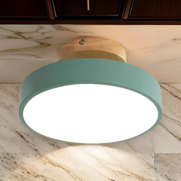 Nordic Aisle Ceiling Lamp Corridor Entry Green (18cm diameter) Warm light