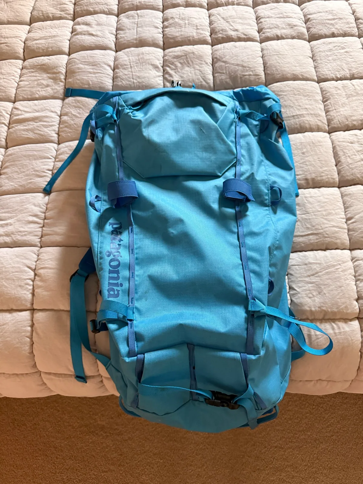 Patagonia Backpack – photo 3