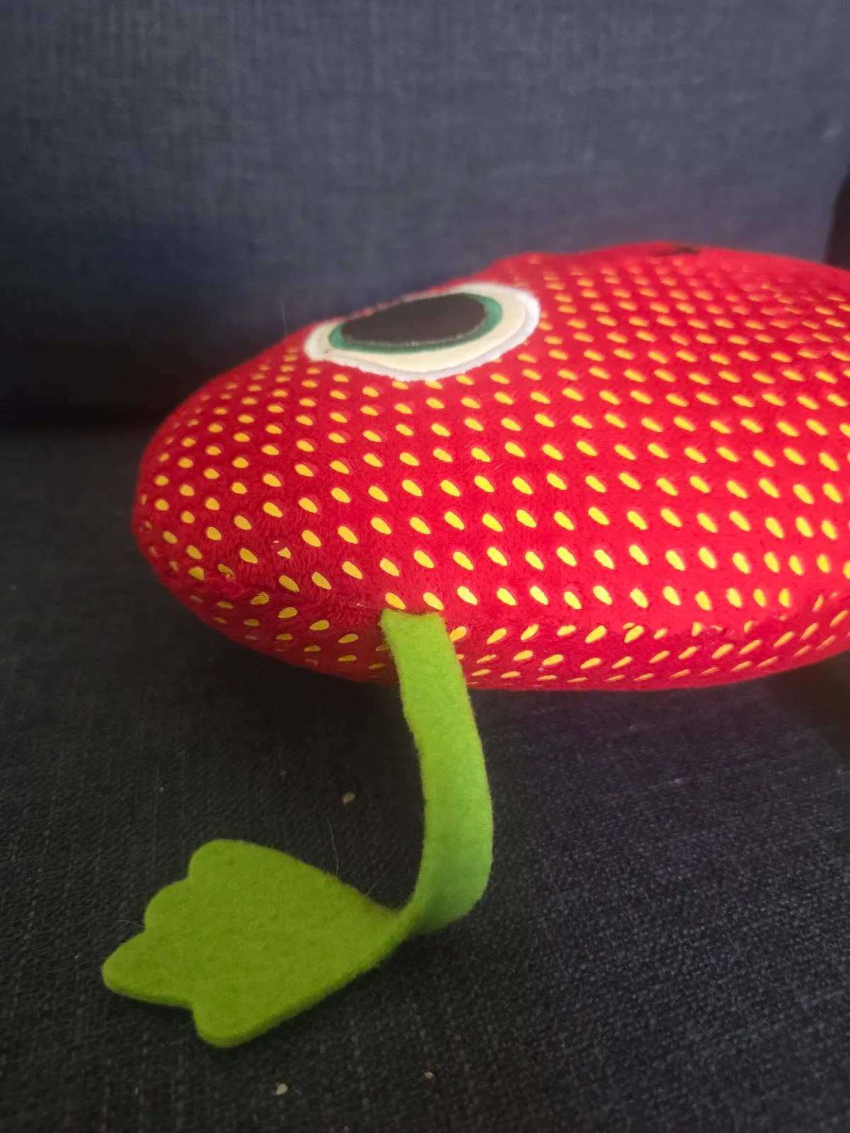 Barry the Strawberry – photo 6