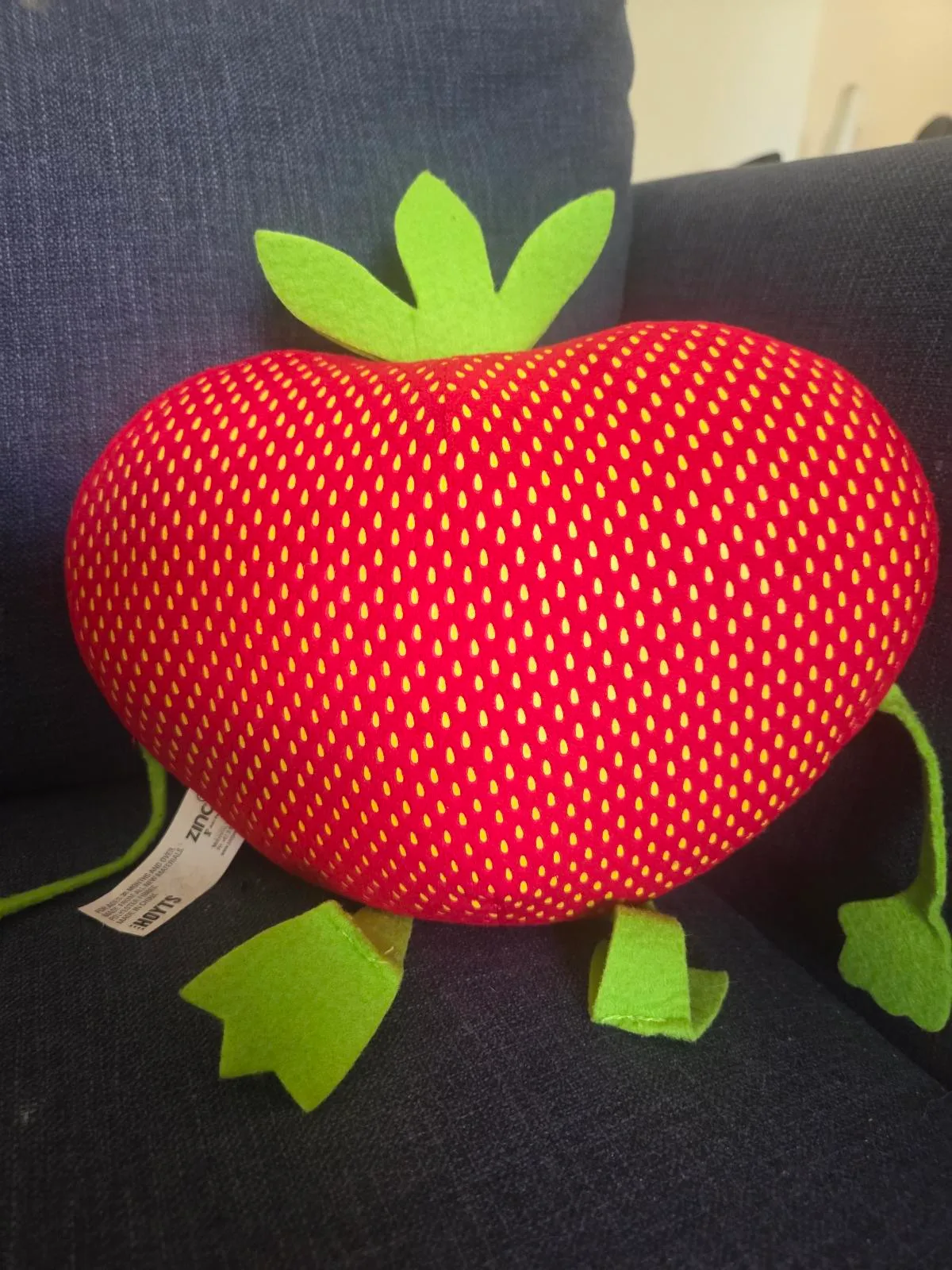 Barry the Strawberry – photo 4