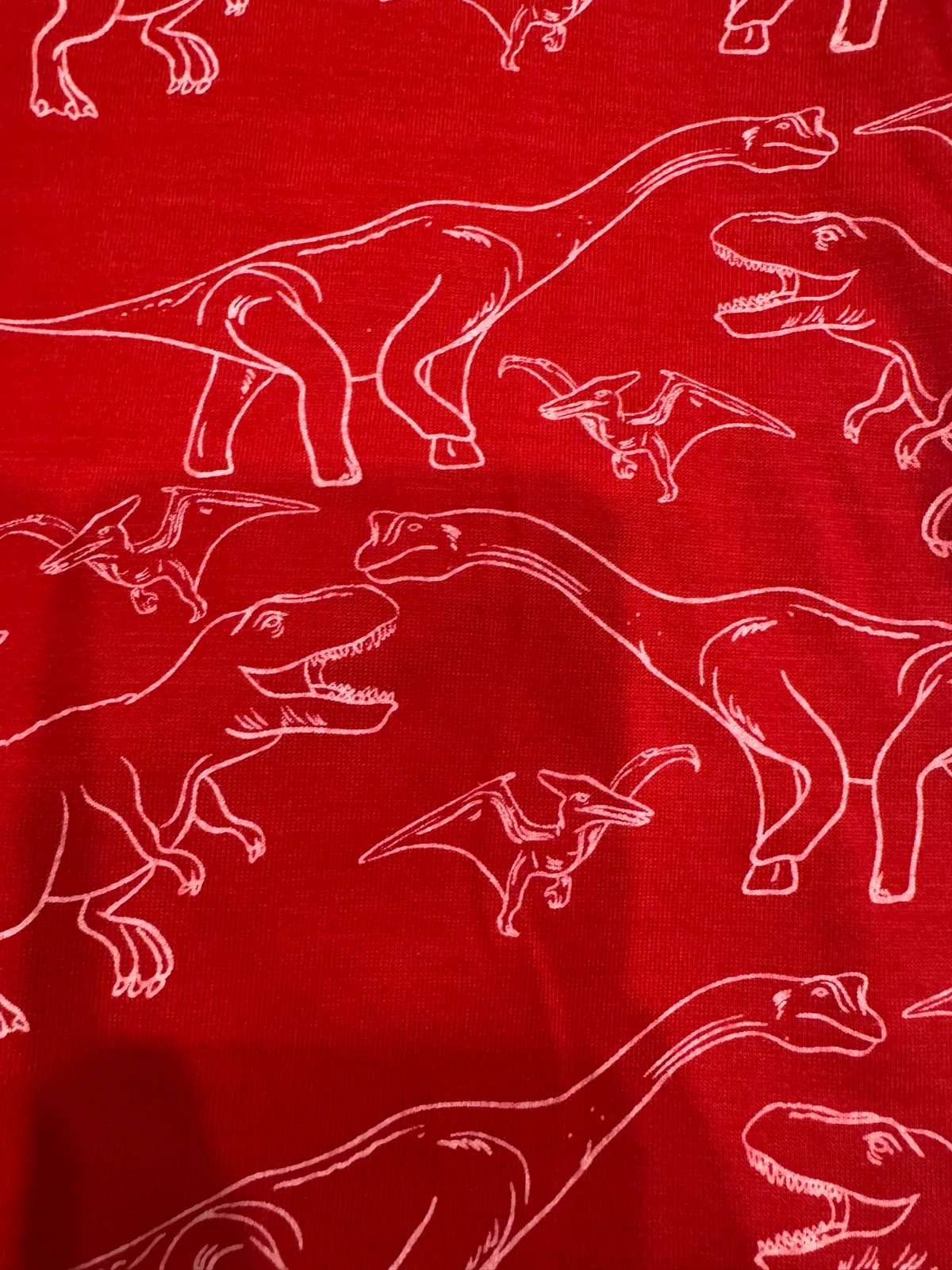 Boys sz 4 red dinosaur tshirt — photo 4