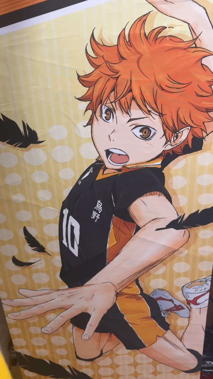 Haikyuio #10 LifeSize hanging banner — photo 3