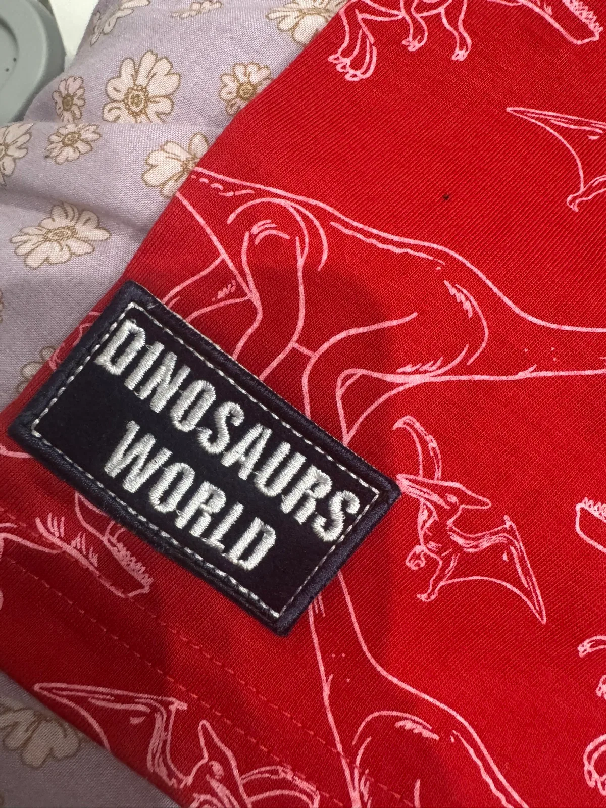 Boys sz 4 red dinosaur tshirt — photo 2