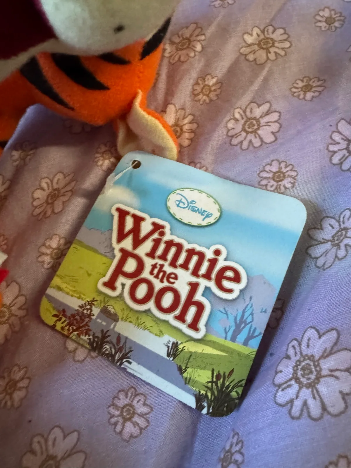 Disney Tiger soft 7” toy new tags — photo 6
