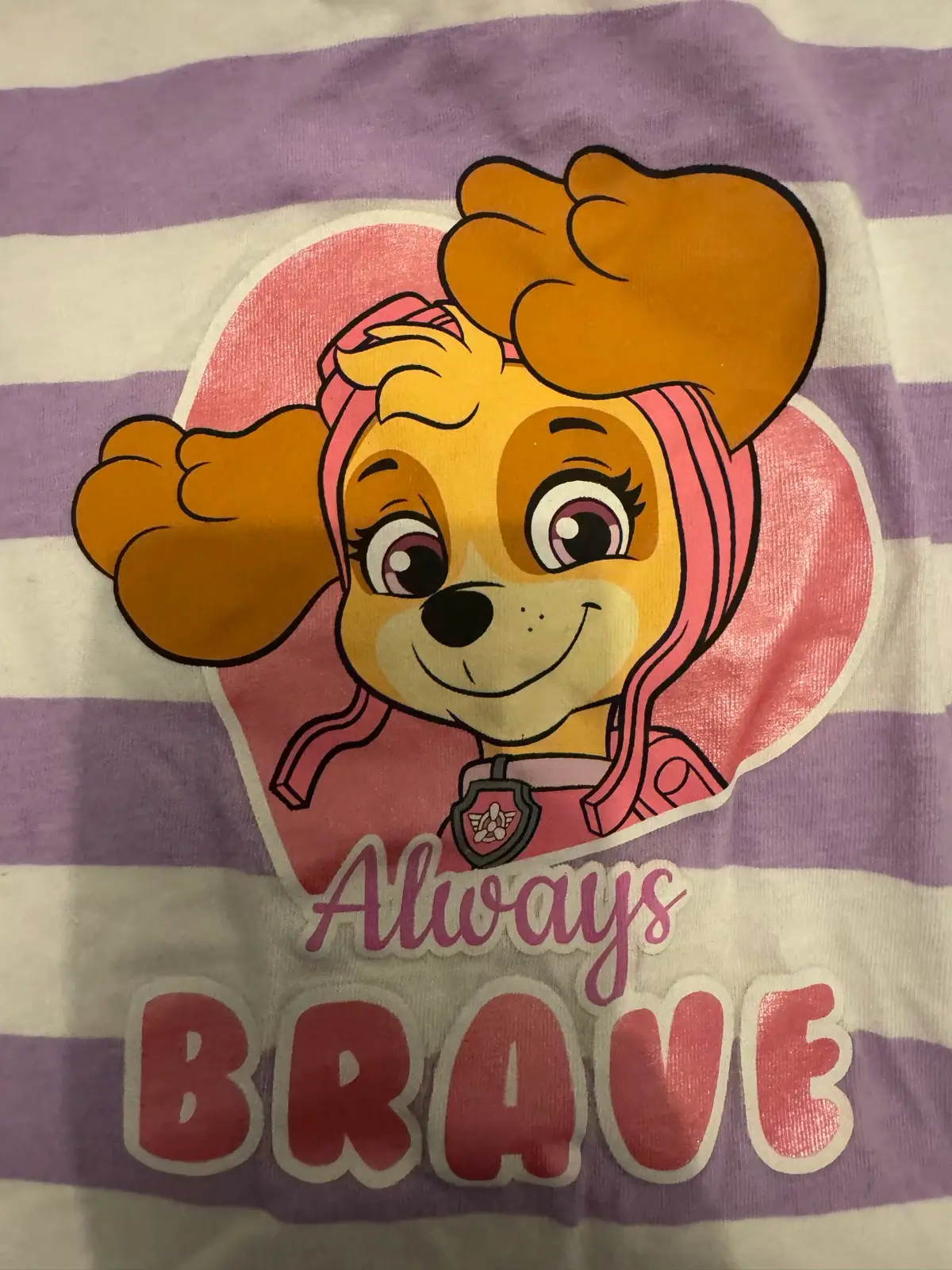 Paw patrol girls Sz 6 Skye tshirt – photo 2