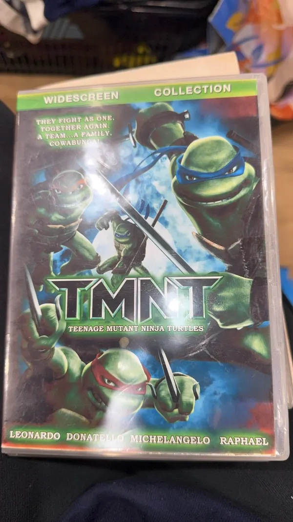 TMNT dvd movie family