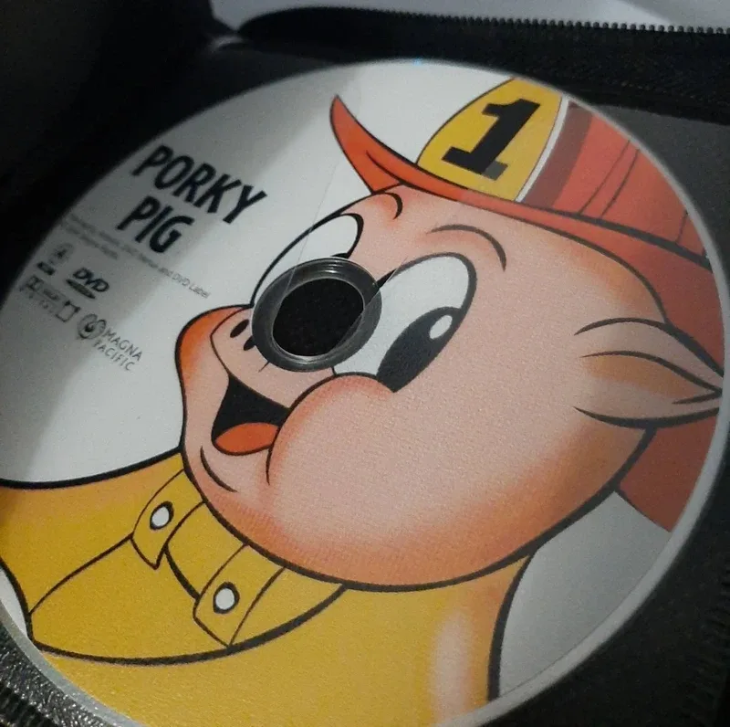 Cartoon Classic DVDs in zipped folder — photo 7