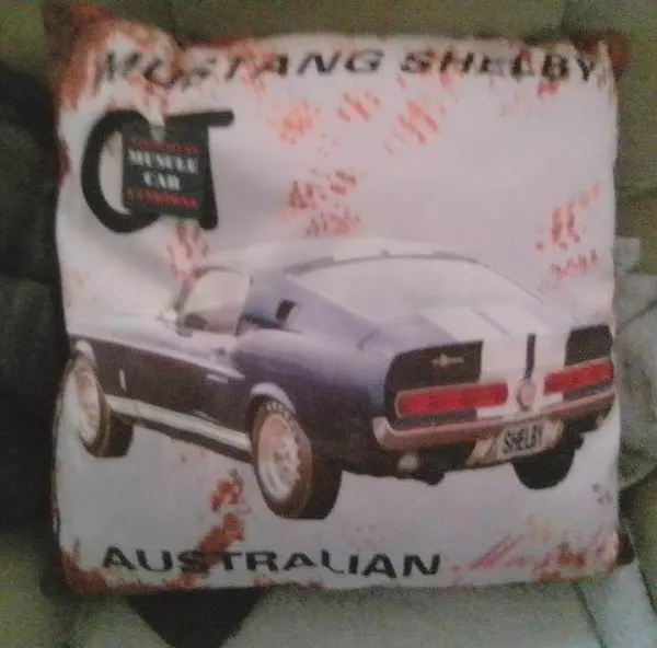 Mustang Shelby GT cushion