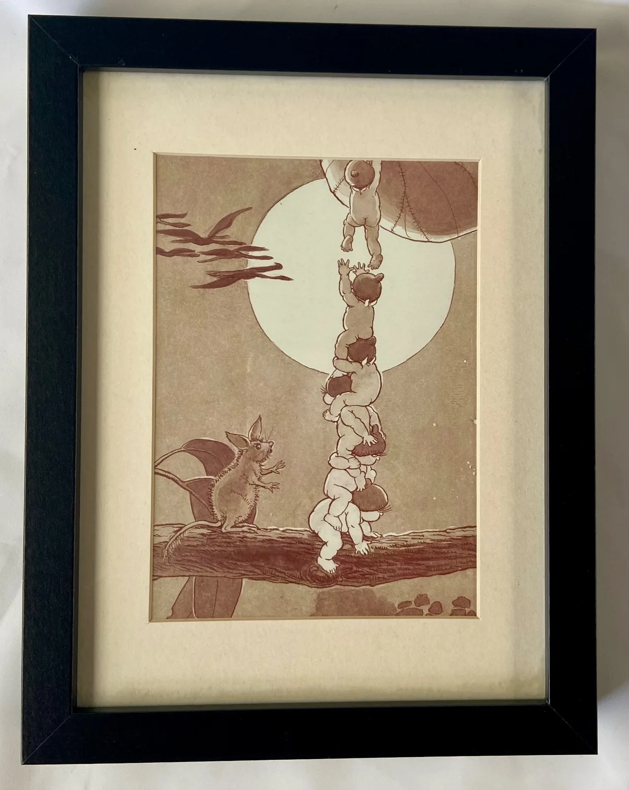Snugglepot and Cuddlepie in Little Ragged Blossom by May Gibbs, Black Wood Frame — photo 2