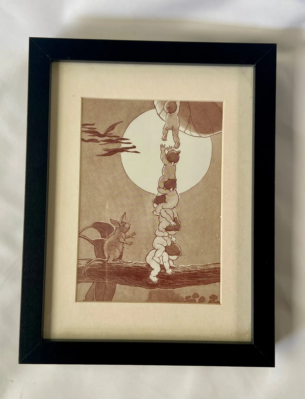Snugglepot and Cuddlepie in Little Ragged Blossom by May Gibbs, Black Wood Frame — photo 5