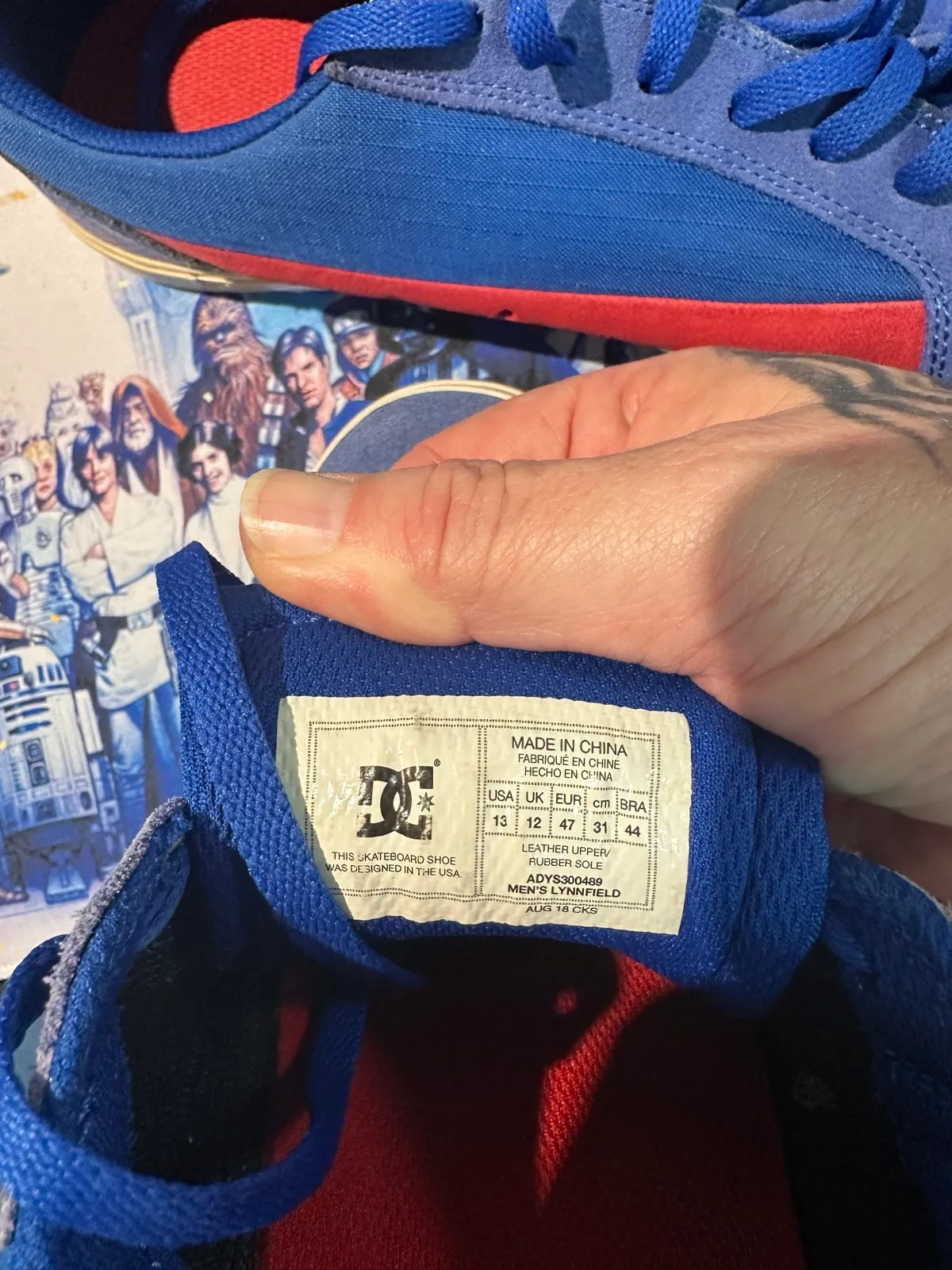 DC Lynnfield shoes US12 — photo 2