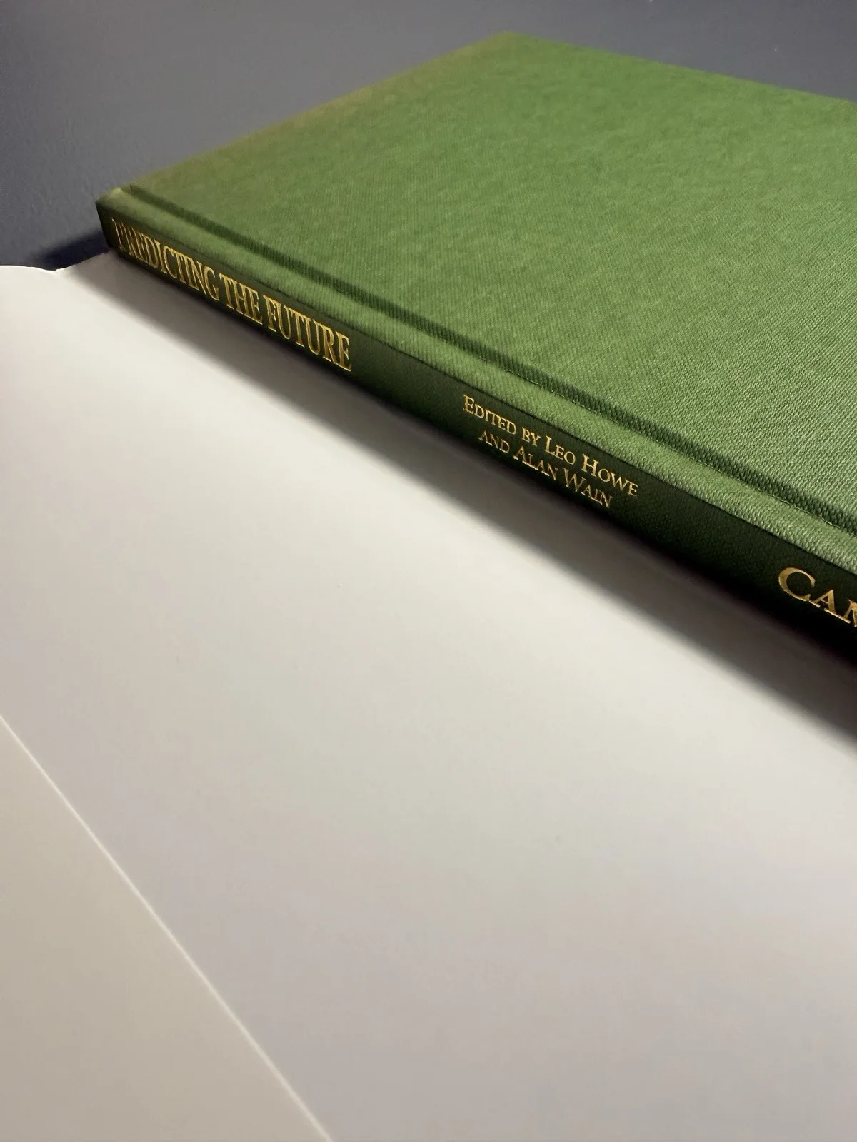 Predicting the Future Stephen Hawking 1993 First Edition Hardcover Cambridge – photo 7