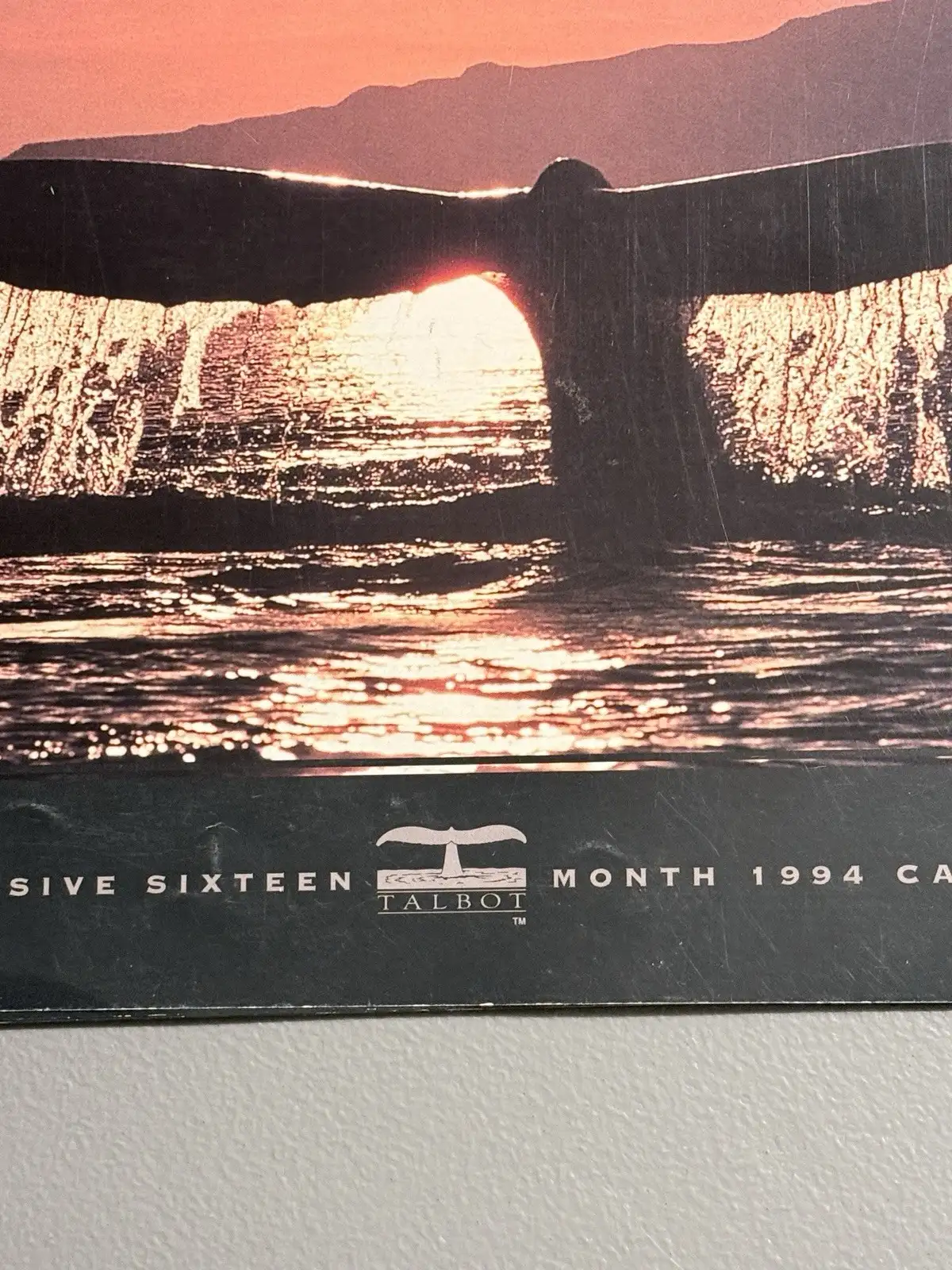 Talbot Day Dream 1994 Whales 16-Month Wall Calendar MPN 41510 – photo 4