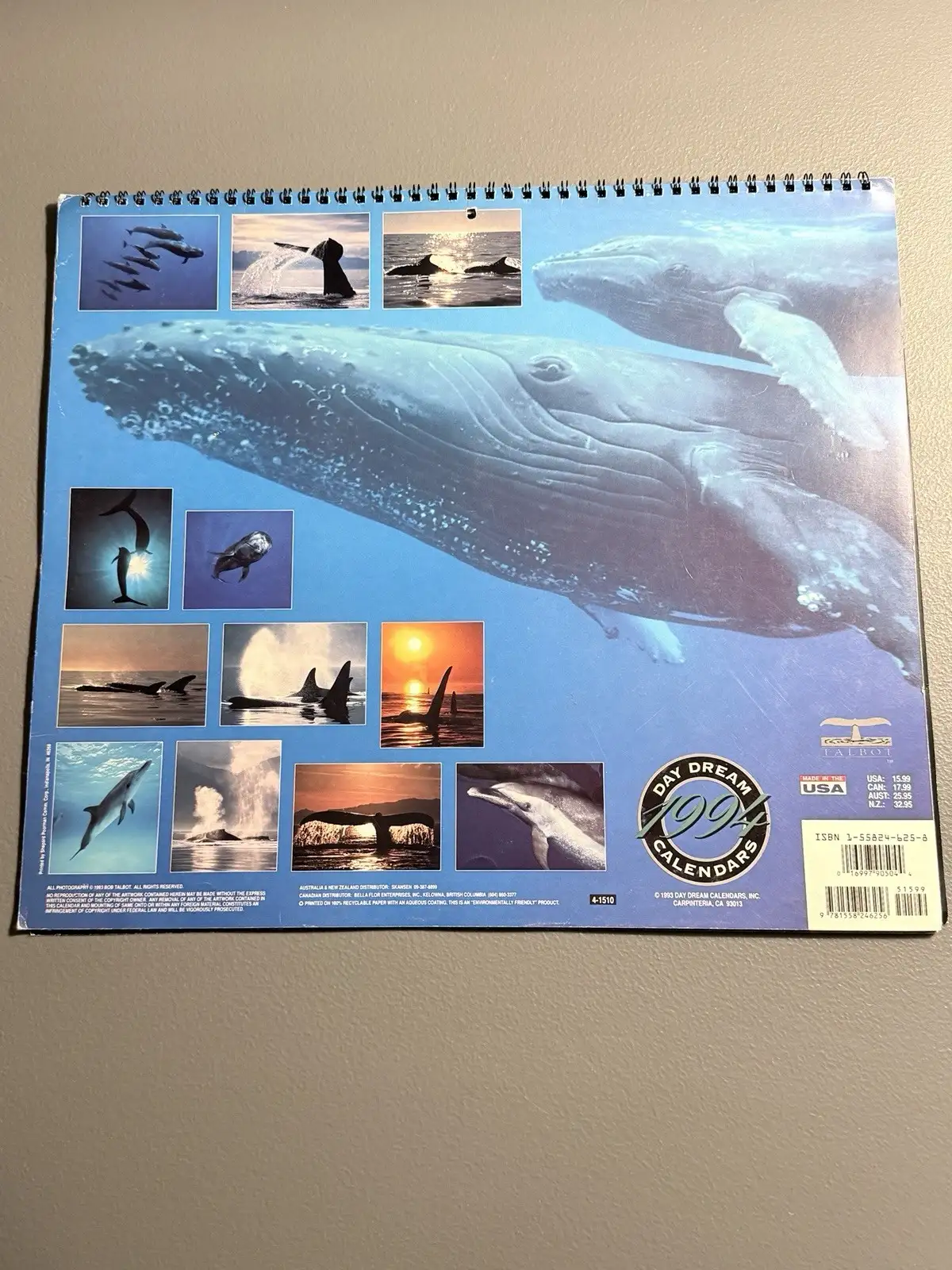 Talbot Day Dream 1994 Whales 16-Month Wall Calendar MPN 41510 – photo 6