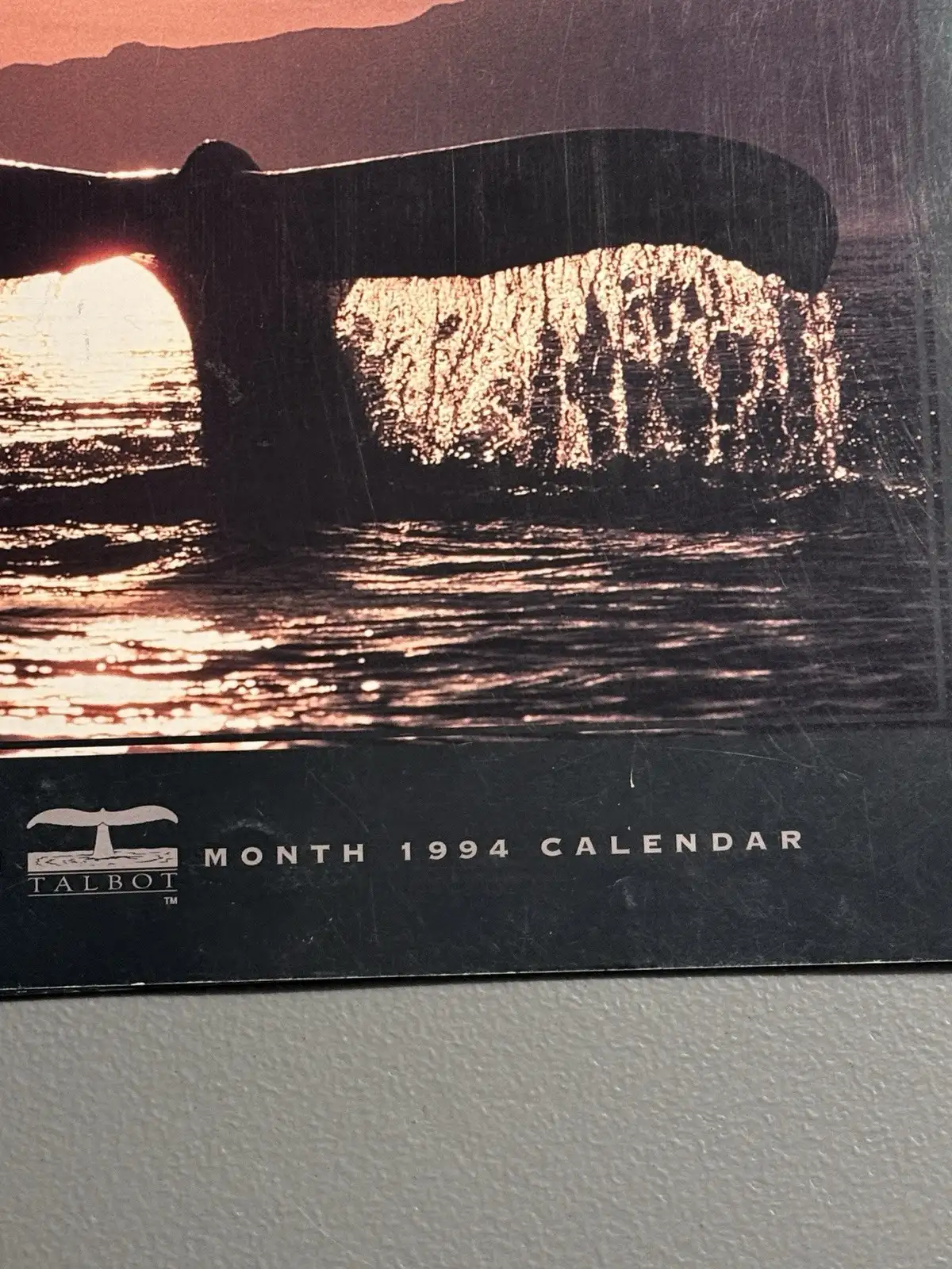 Talbot Day Dream 1994 Whales 16-Month Wall Calendar MPN 41510 – photo 5