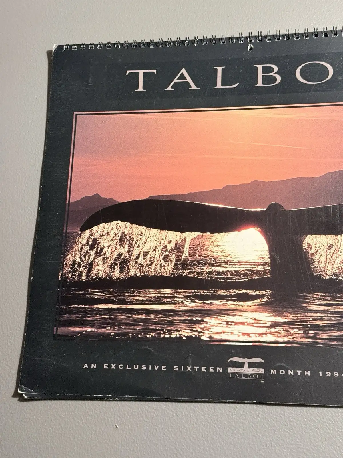 Talbot Day Dream 1994 Whales 16-Month Wall Calendar MPN 41510 – photo 3