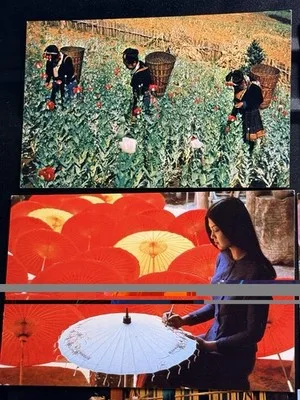 6 Vintage Thailand Postcards Unused Chiang Mai Golden Triangle Crafts Markets – photo 2