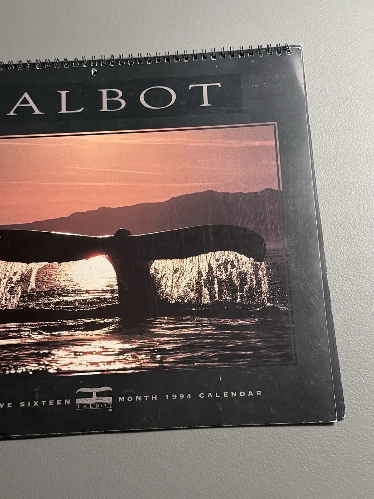 Talbot Day Dream 1994 Whales 16-Month Wall Calendar MPN 41510 – photo 2