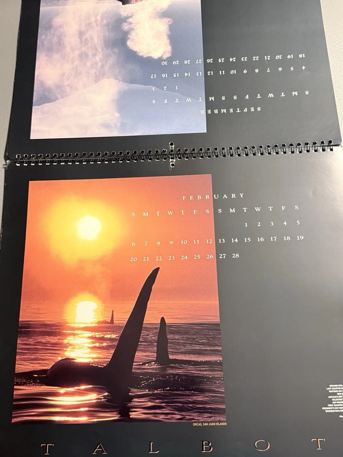 Talbot Day Dream 1994 Whales 16-Month Wall Calendar MPN 41510 – photo 11
