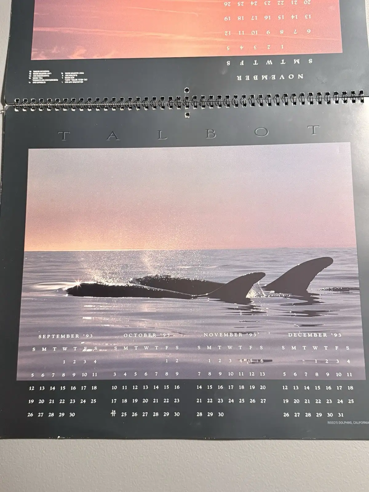 Talbot Day Dream 1994 Whales 16-Month Wall Calendar MPN 41510 – photo 9
